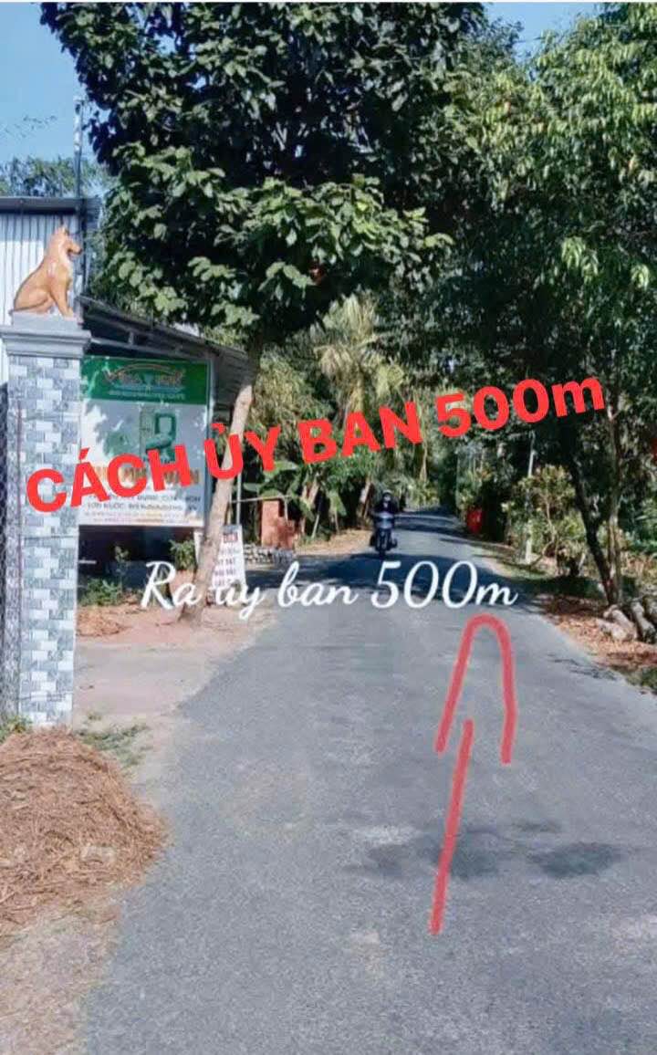 Bán Gấp 2 Nền Liền Kề Hòa Tịnh, Mang Thít - 148.6m² Hướng Đông Bắc