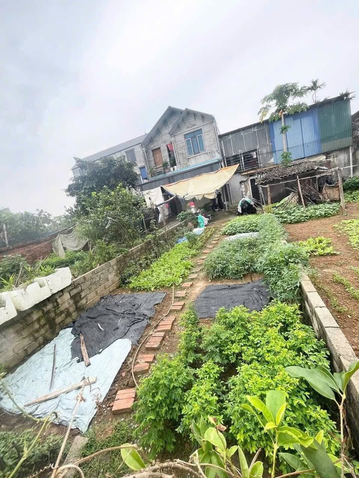 Bán đất Thạch Thất 114m² giá 3.42 tỷ - Sổ đỏ riêng, gần Đại lộ Thăng Long