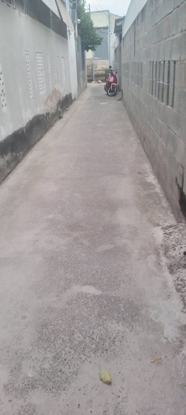 Bán Đất Nền 70m² Đường Lê Duẩn, Phan Thiết - Giá 1.2 Tỷ, Sẵn Sổ Hồng