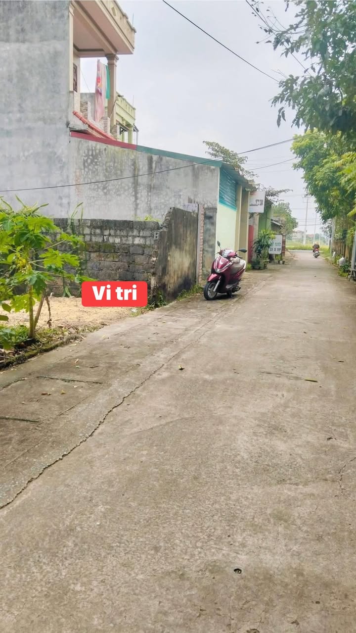 Đất nền Phố Trung Hy 80m² giá từ 800 triệu - Đường to ô tô