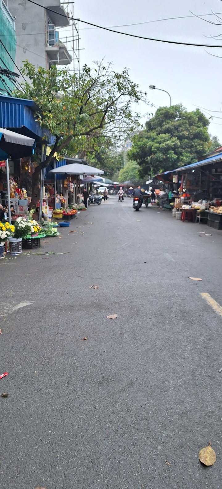 Bán đất Lộc Vượng, Nam Định 50m² vuông vắn - Oto sát nhà, giá 1.7 tỷ