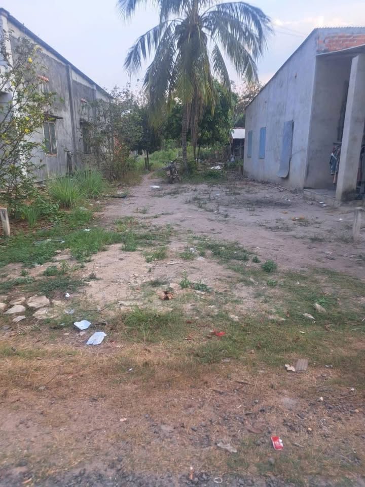 Đất nền Thạnh Đông, Tân Châu 462m² - Sổ đỏ chính chủ, giá tốt!