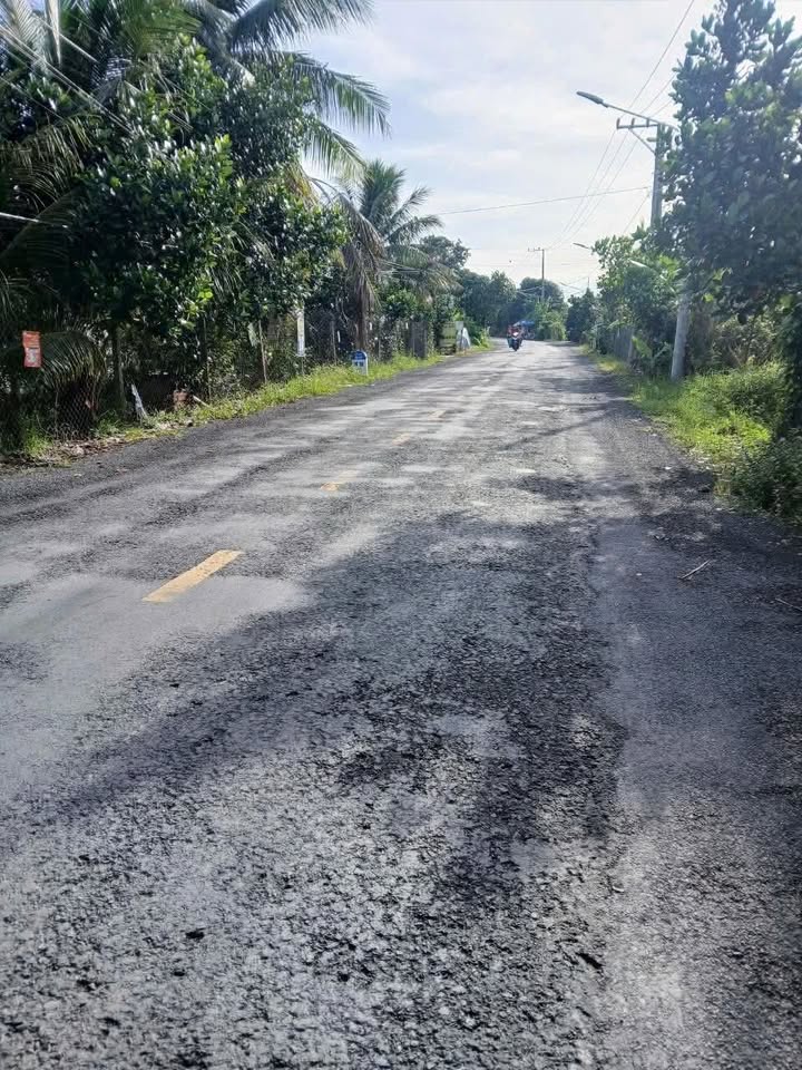 Đất nền mặt tiền Tỉnh lộ 864, Cái Bè - 250m² kinh doanh tốt