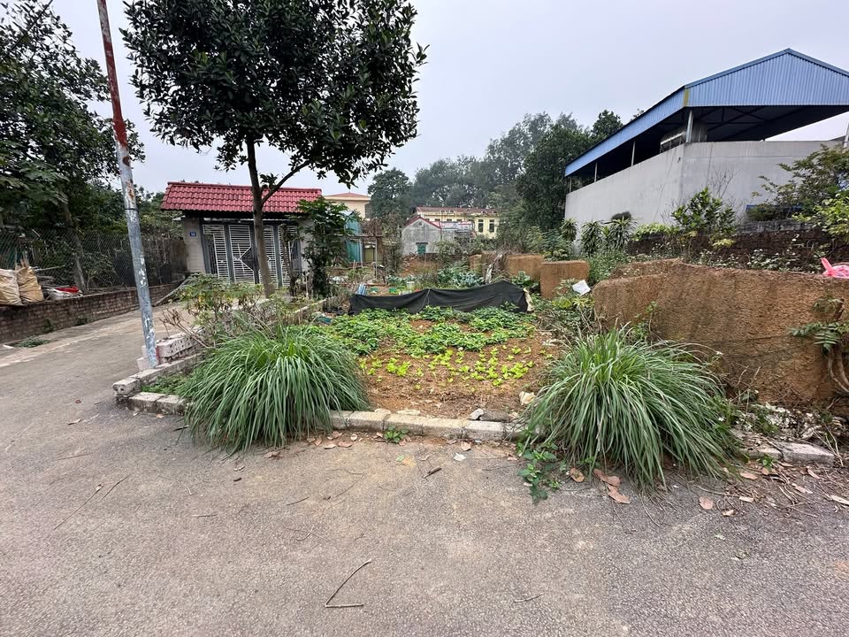 Bán đất Sen Trì, Thạch Thất 127m² - Sổ đỏ sẵn sàng, gần Tỉnh lộ 420