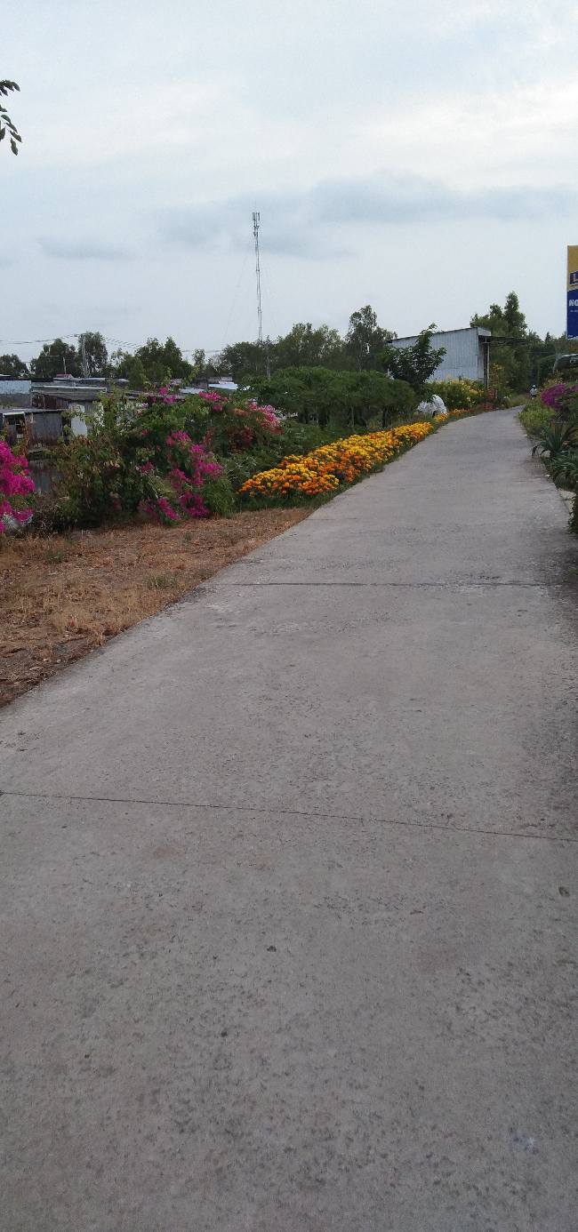 Đất nền Khóm 9 Tân Thành Cà Mau 5467m² - Sổ đỏ chính chủ