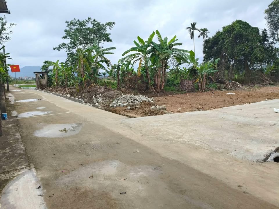 Bán đất Lộc Sơn Hậu Lộc 200m² giá 600 triệu - Lô góc 3 mặt tiền!