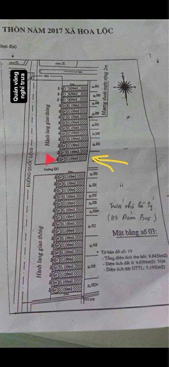 Đất Vàng Hoa Lộc, Hậu Lộc 150m² - Mặt Đường 10 Kinh Doanh