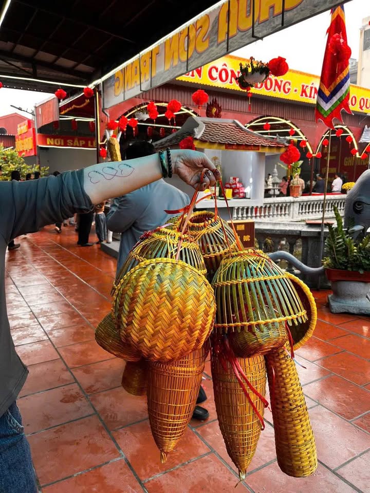 Đất Ninh Mỹ, Hoa Lư 70m² - Sổ đỏ chính chủ, giá 2.3 tỷ