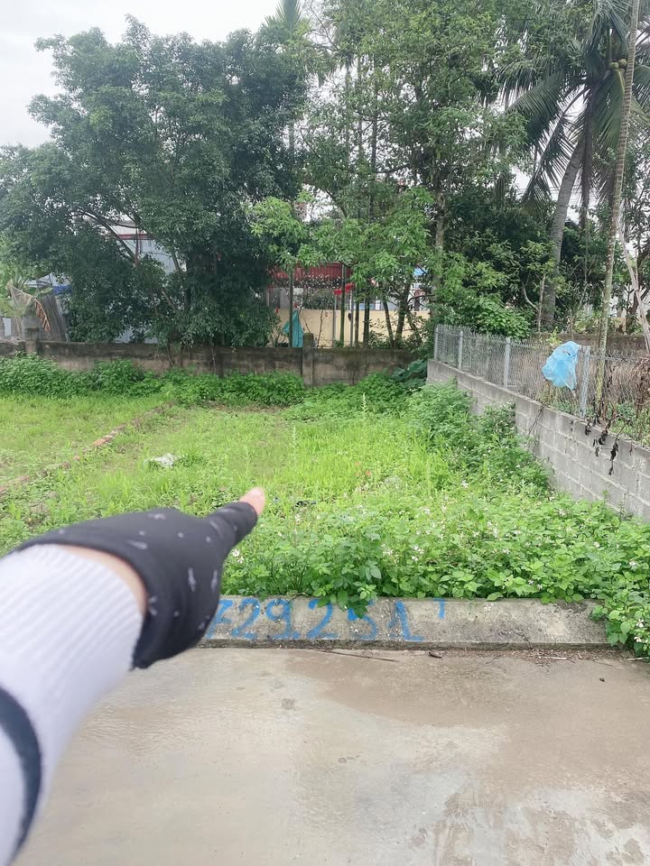 Đất nền 60m² Quốc Tuấn, Kiến Thụy - Sổ đỏ sẵn, ô tô vào nhà