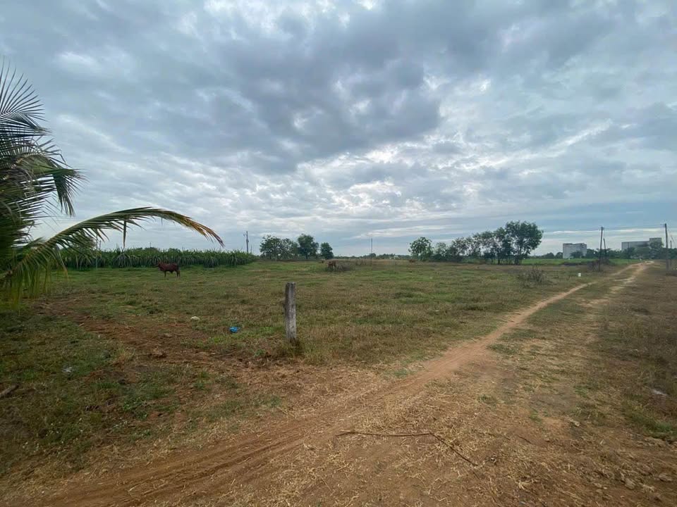 Đất thổ cư 1047m² mặt tiền đường sắp đổ bê tông, sát KDL sinh thái Hàm Liêm