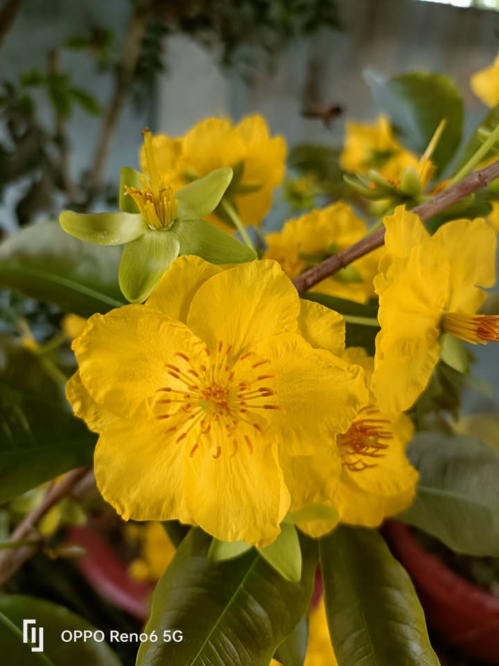 Đất nền Cái Răng 150m² - Đường to ô tô, tiềm năng tăng giá!