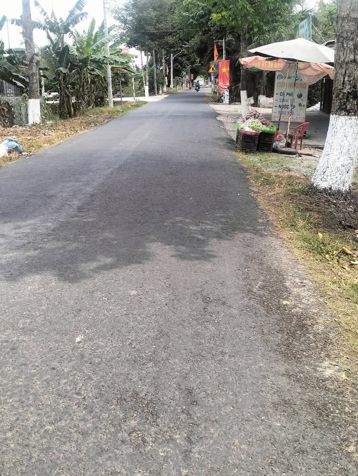 Bán Đất Vườn 563m² Phú Hữu, Hậu Giang - Sổ Hồng Sẵn Sàng