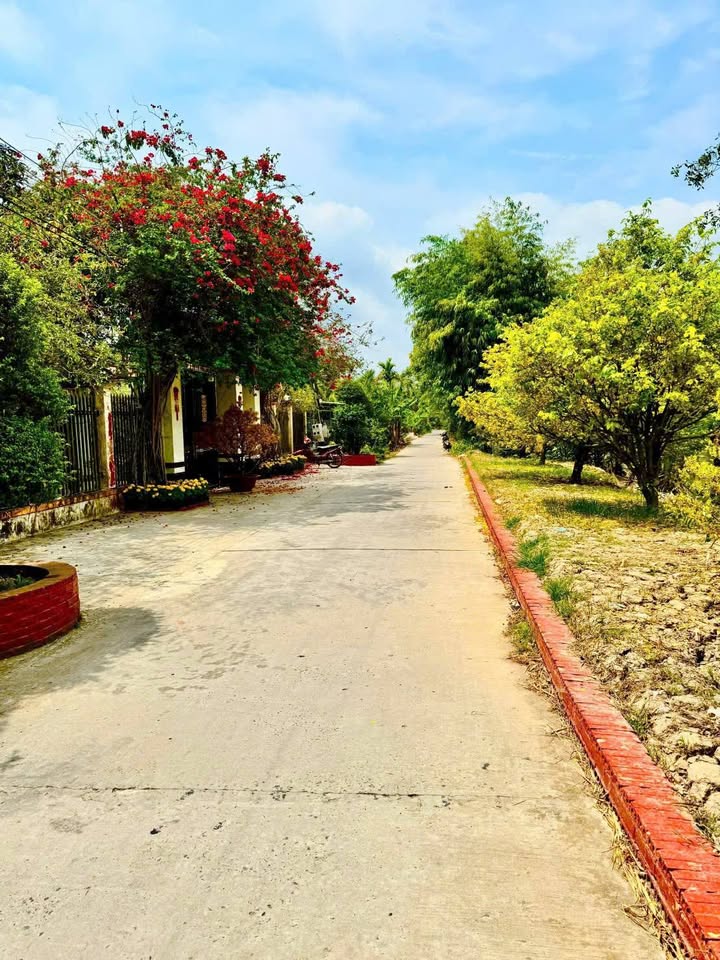 Bán Đất Thổ Cư Ngã Sáu, Hậu Giang - Sổ Đỏ, Giá Chỉ Từ 550 Triệu