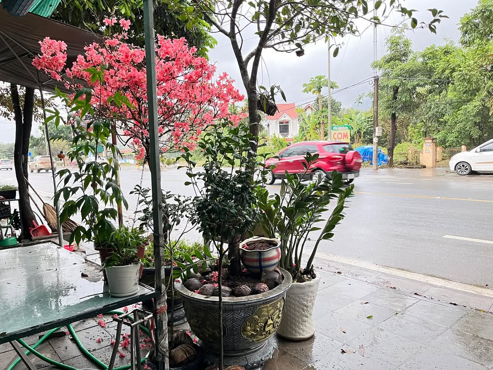 Nhà Phố Huyện Lạc Thủy 140m² Đường 21A - Đầu tư sinh lời ngay!