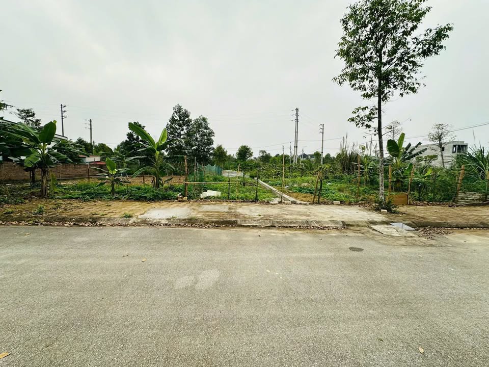 Đất TĐC Đại học Quốc gia 100m² - Sổ đỏ sẵn sàng, đầu tư sinh lời!