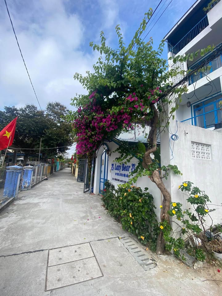 Đất nền Hội An 137m² 3 tỷ - Tiềm năng tăng giá vượt trội!