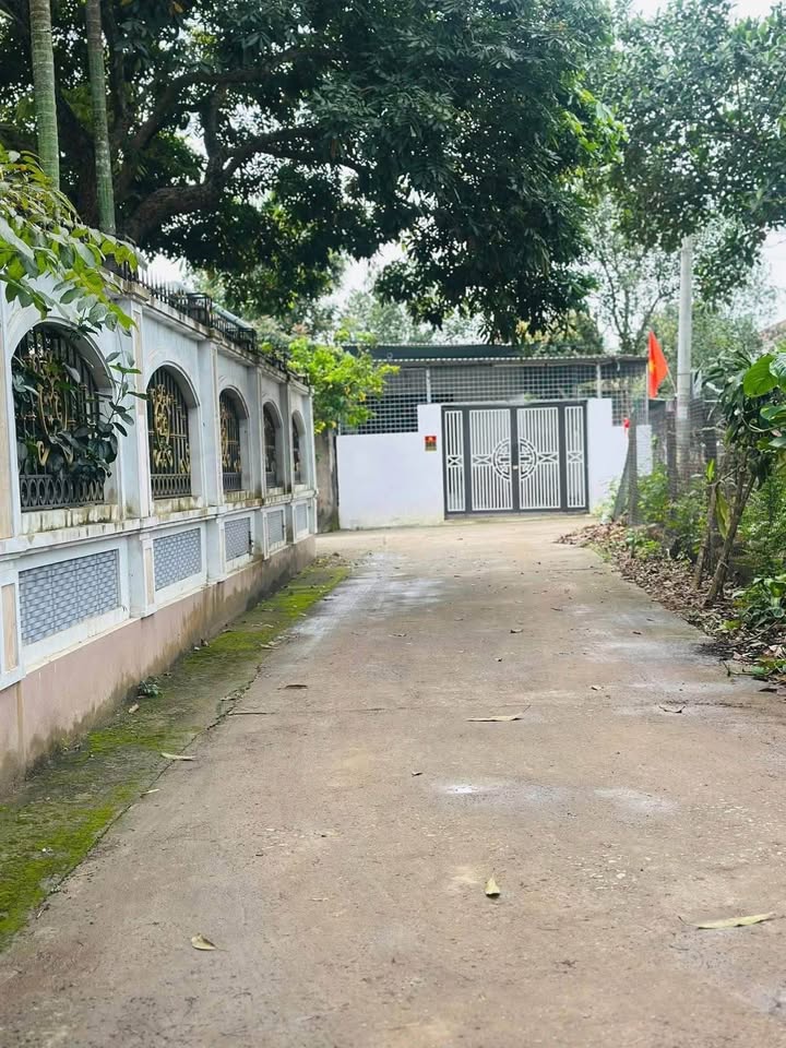 Đất nền Đồi Vua Sơn Đông 100m² dưới 2 tỷ - Sổ đỏ chính chủ