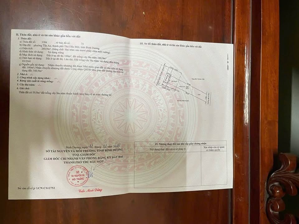 Đất nền Đường Huỳnh Thị Hiếu, Thủ Dầu Một 261m² - Sổ đỏ chính chủ!