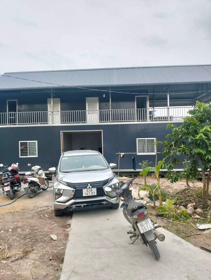 Bán Gấp 11.500m² Đất Trồng Mít Ruột Đỏ - Tháp Mười, Đồng Tháp