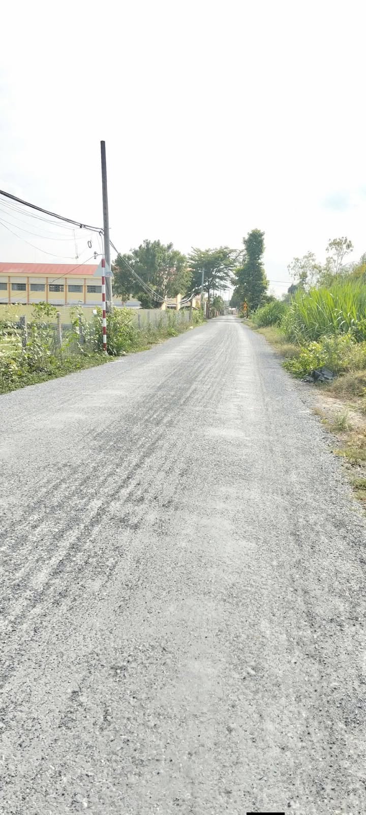 Đất Vườn Hậu Mỹ Trinh 4000m² Giá 2.4 Tỷ - Sổ Hồng Rõ Ràng!