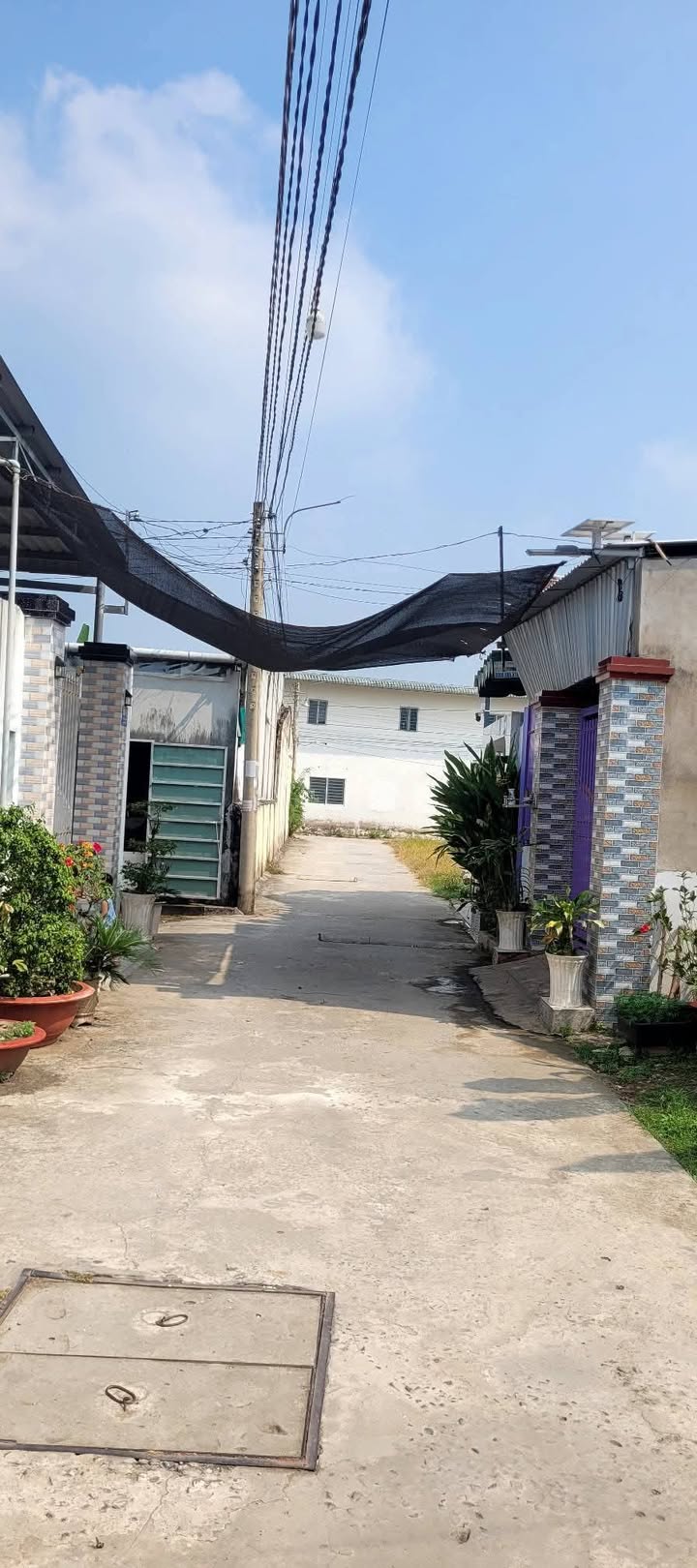 Bán Đất Hẻm Xe Tải Phường Phú Khương Bến Tre - 105m² Sổ Đỏ, Giá 900 Triệu