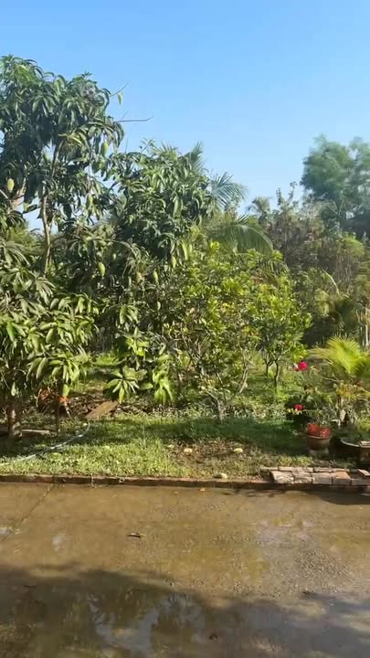 Bán đất tặng nhà L 3600m² gần Chợ Tiên Thủy, Bến Tre - Giá 450 triệu