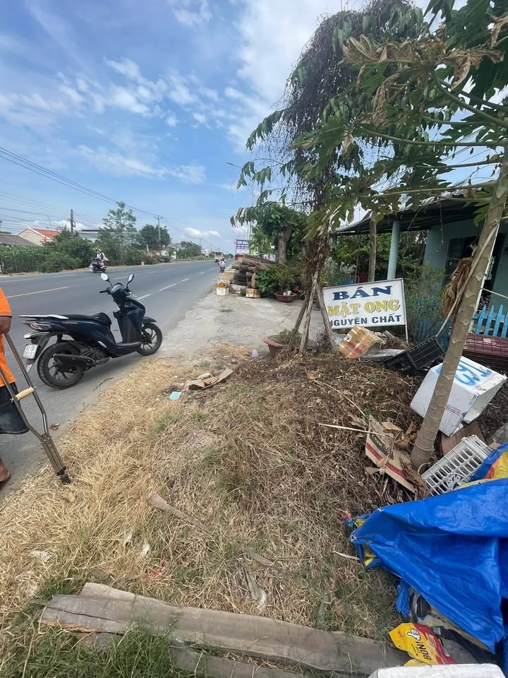 Đất nền Gò Công Đông 187m² mặt tiền QL50 - Tiềm năng sinh lời!