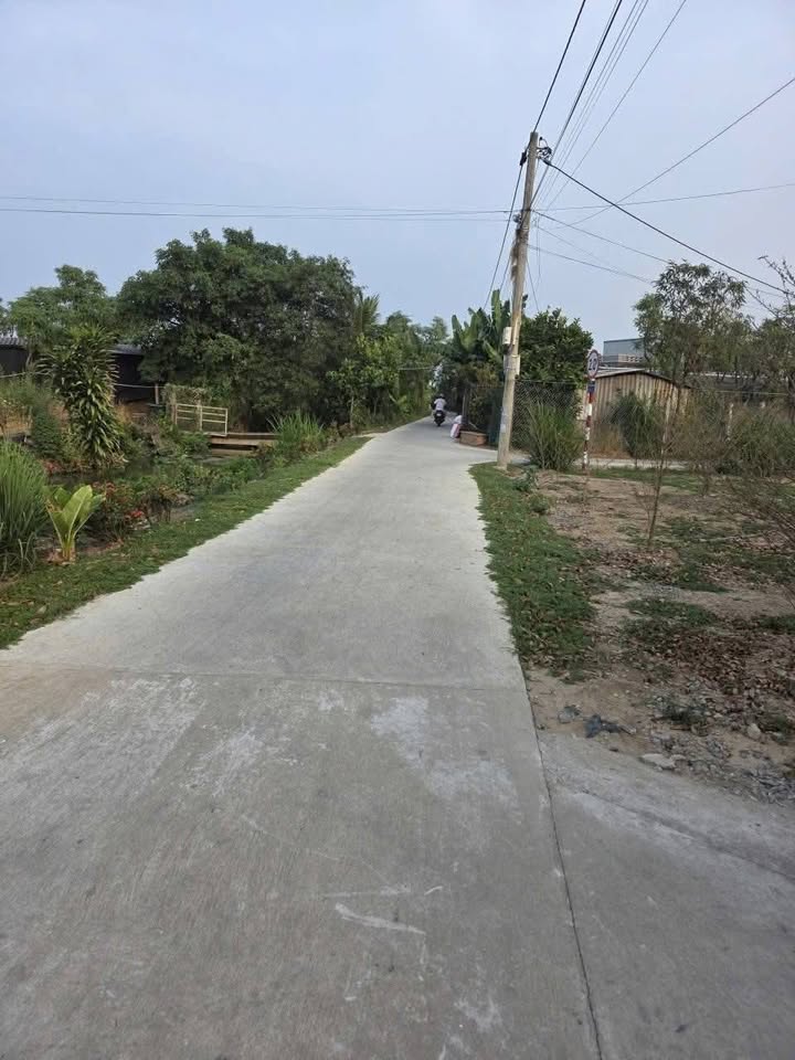 Đất Nền Lai Vung, Đồng Tháp - 288m² Thổ Cư, Giá Chỉ 355 Triệu