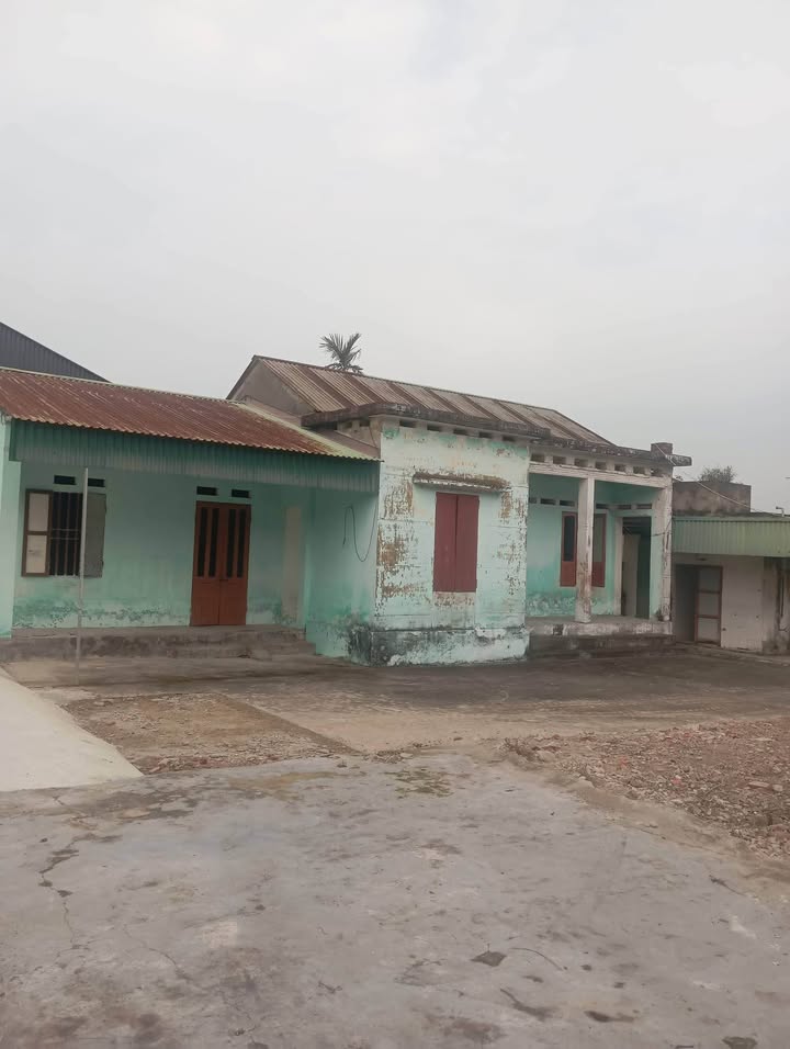 Đất nền Bồ Trang Quỳnh Hải 500 triệu 178m² - Xây dựng tự do