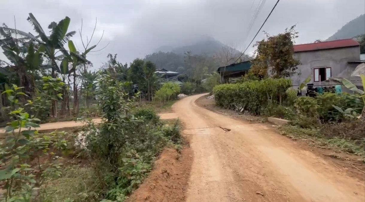 Đất nền Hòa Bình 2000m² - Sổ đỏ sẵn, giá chỉ từ 500 triệu