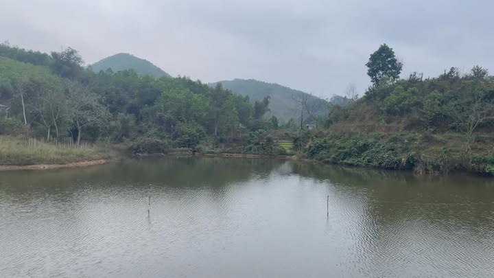 Đất Bám Hồ Kim Bôi, Hòa Bình 5500m² - Nghỉ dưỡng lý tưởng!