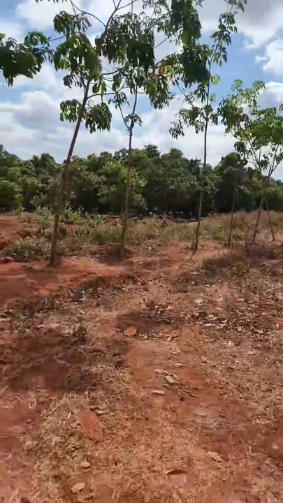 Đất Nền Xã Ia Dom, Đức Cơ, Gia Lai 2ha - Sổ đỏ chính chủ