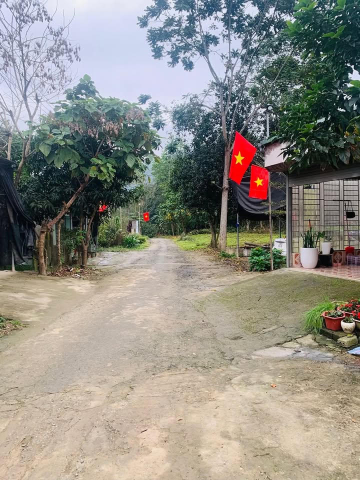 Đất nền Ngọc Đường TP Hà Giang 100m² giá 700 triệu - Sổ đỏ chính chủ