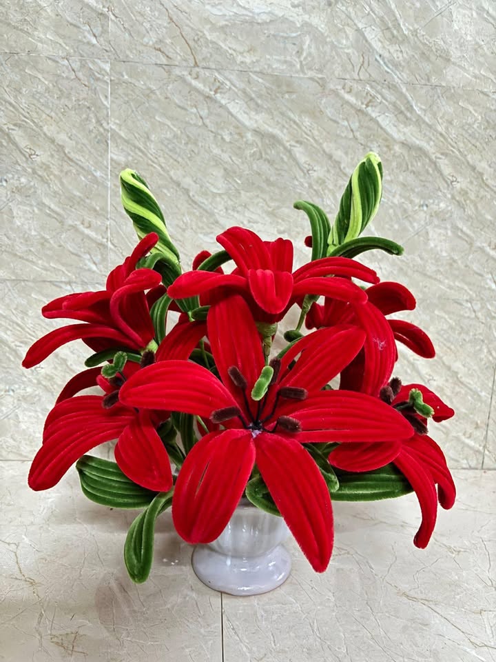 Đất nền Tam Giang, Núi Thành 150m² - Sổ đỏ chính chủ, giá tốt!