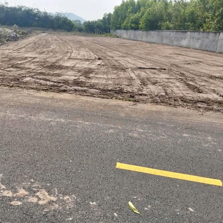 Đất Nền Phước Hội 105m² Sổ Đỏ Chính Chủ - Giá Tốt Bất Ngờ!