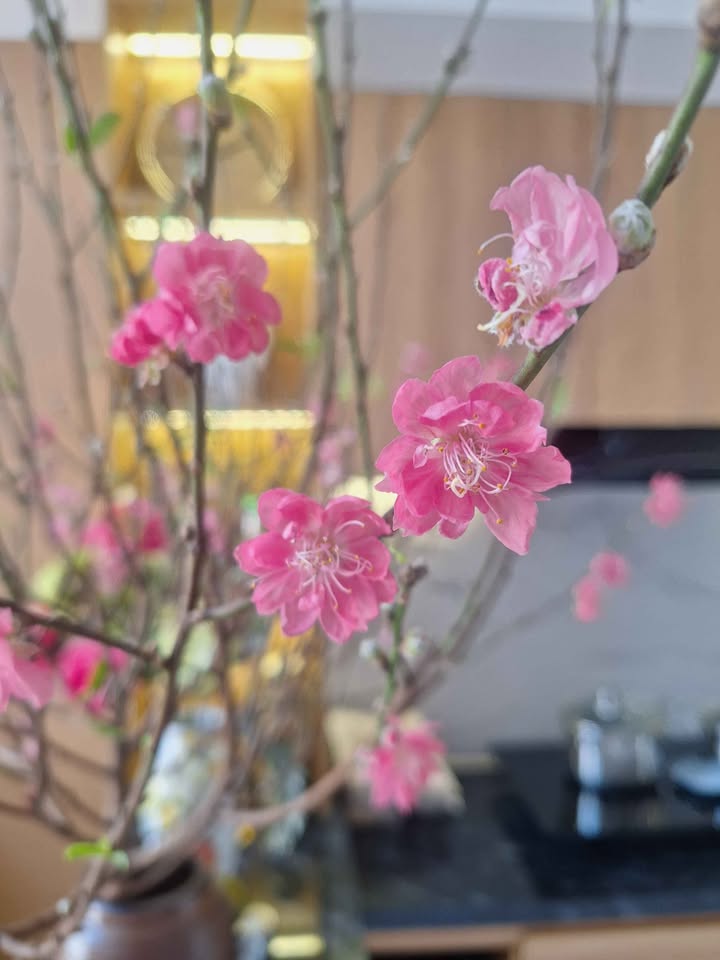 Bán đất 195m² Phường Diên Hồng, Pleiku - Sổ đỏ chính chủ, giá 1.2 tỷ