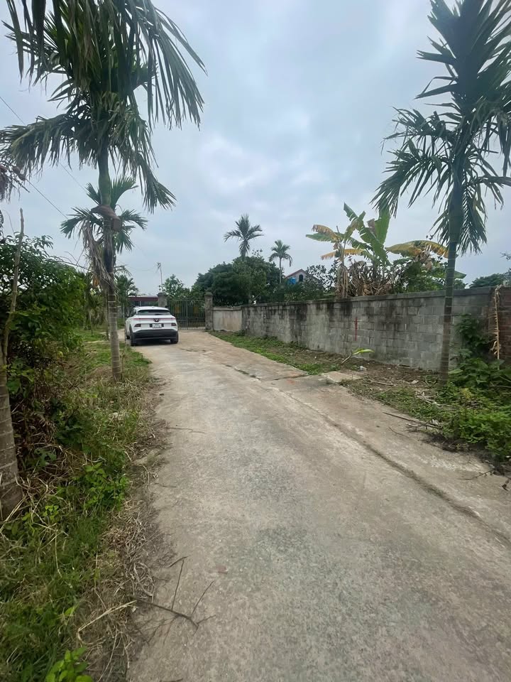 Đất Vườn 146m² Mặt Tiền 6.2m Xã Tân Học, Thái Thụy - Sổ Đỏ Sẵn Sàng