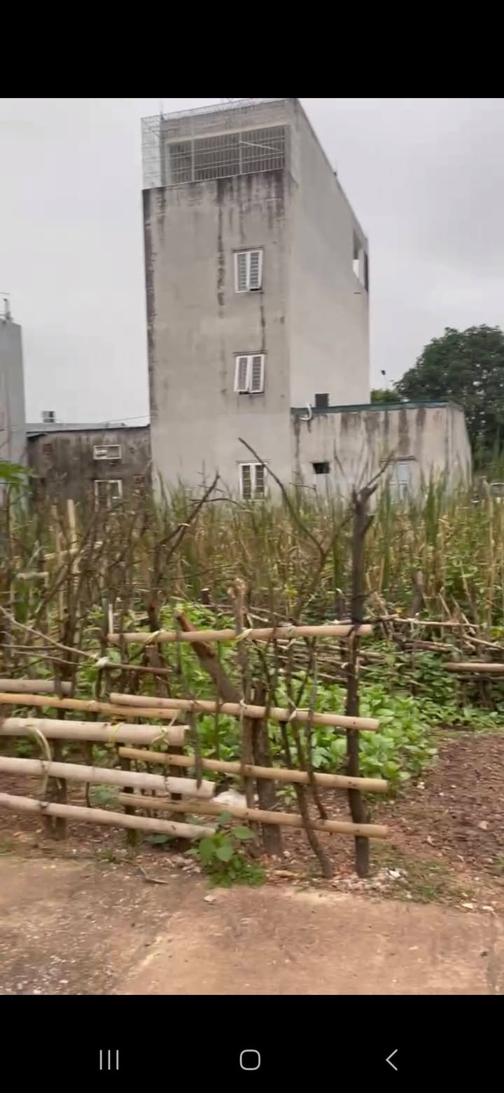 Đất nền 100m² Quốc lộ 47 - Giá 1 tỷ - Sổ đỏ sẵn sàng