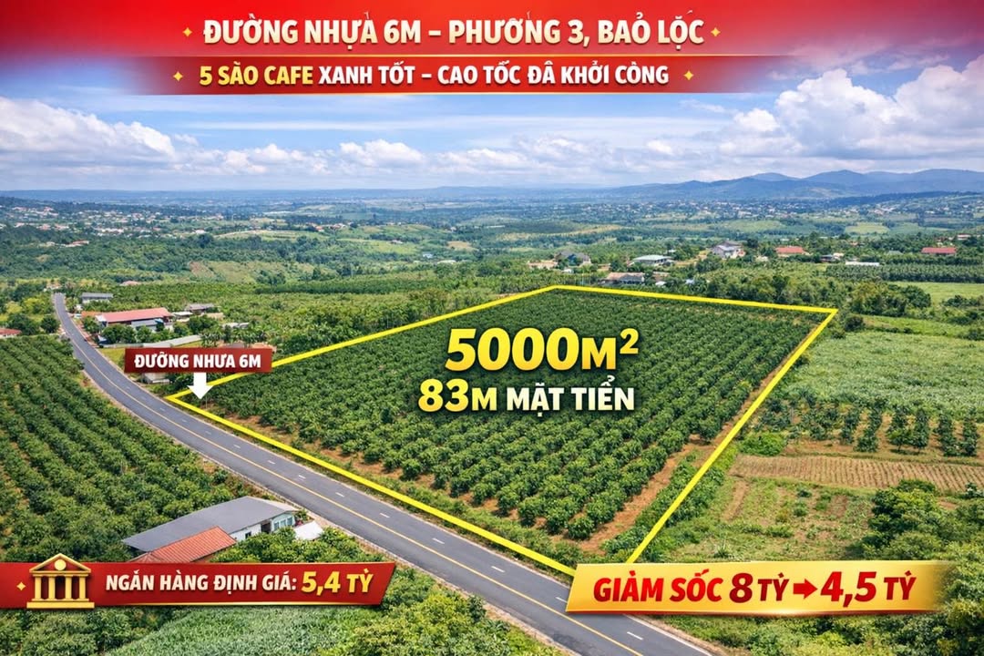 Đất nền Lộc Châu, Bảo Lộc 5000m² - Tiềm năng tăng giá vượt trội!