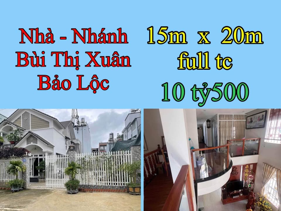 Nhà Đất Nhánh Bùi Thị Xuân 300m² - Ô tô vào tận nhà, 3 sổ riêng!