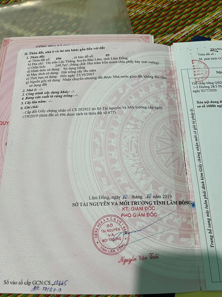 Đất nền Lộc Thắng Bảo Lâm 249m² - Giá đầu tư tốt!