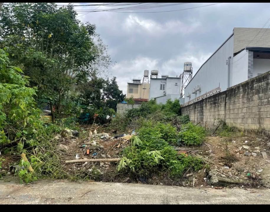 Đất nền Bảo Lộc 260m² đối diện công viên - Đất thổ cư 100%