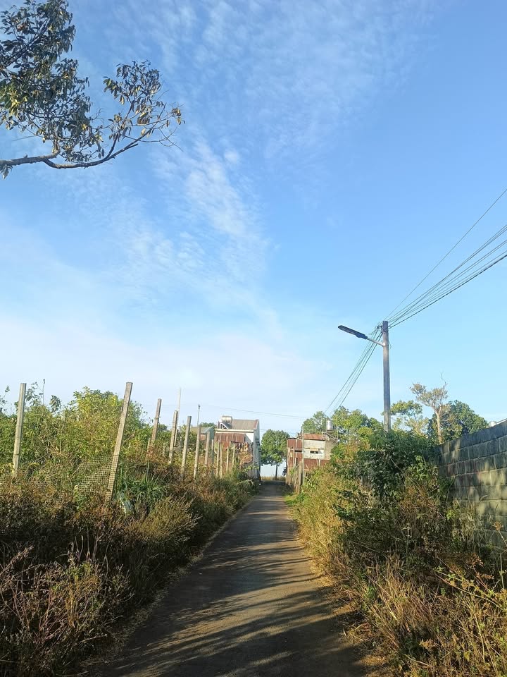 Đất nền Pleiku 720m² - Sổ đỏ chính chủ, đường thông 5m!