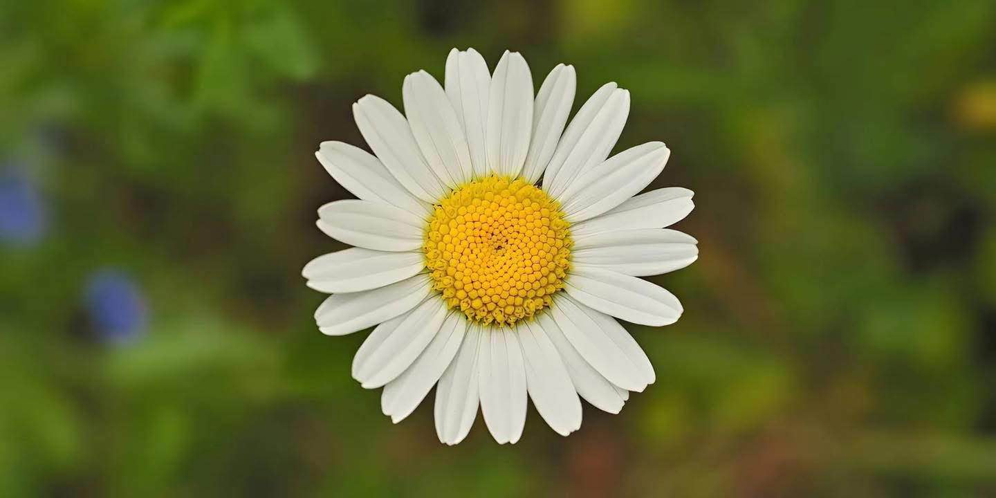 Nhà Cấp 4 Mới Đẹp 153m² Hẻm Trần Thị Kỷ, An Nhơn - Giá 6 Tỷ