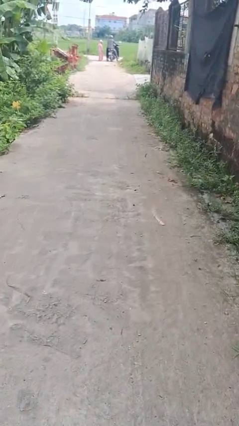 Đất nền Hiệp Hòa 109m² - Sổ đỏ chính chủ - Pháp lý rõ ràng!