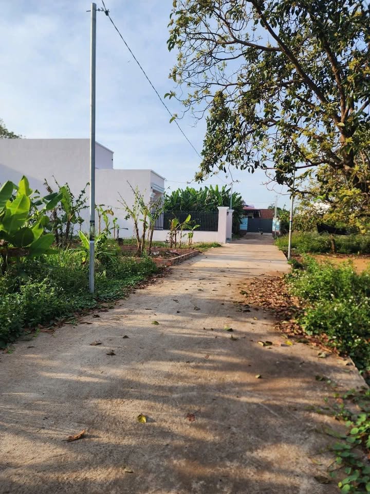 Đất Thổ Cư 105m² Sổ Hồng Riêng Xã Gia Kiệm - Giá Tốt