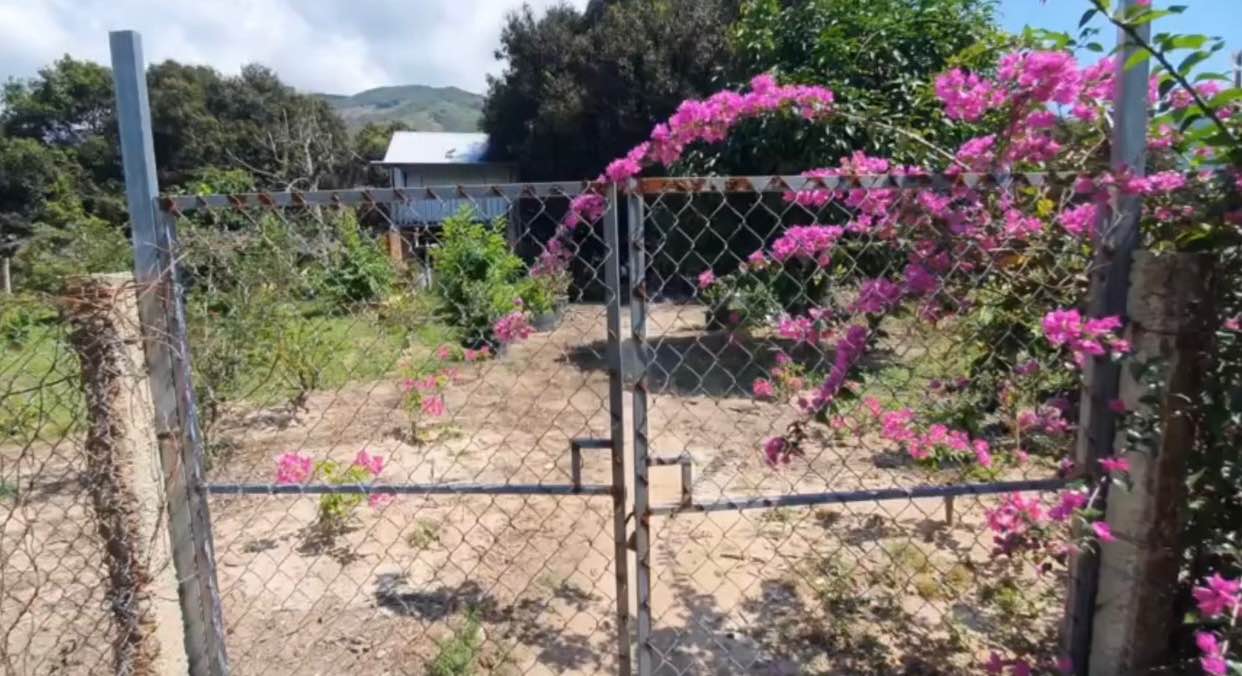 Farm Diên Điền, Diên Khánh 1.2ha giá 3.8 tỷ - Nghỉ dưỡng lý tưởng!