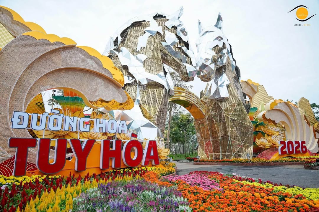 Nhà Riêng Phường 9 Tuy Hòa 66m² - Chính Chủ Bán, Sẵn Sàng Ở Ngay!