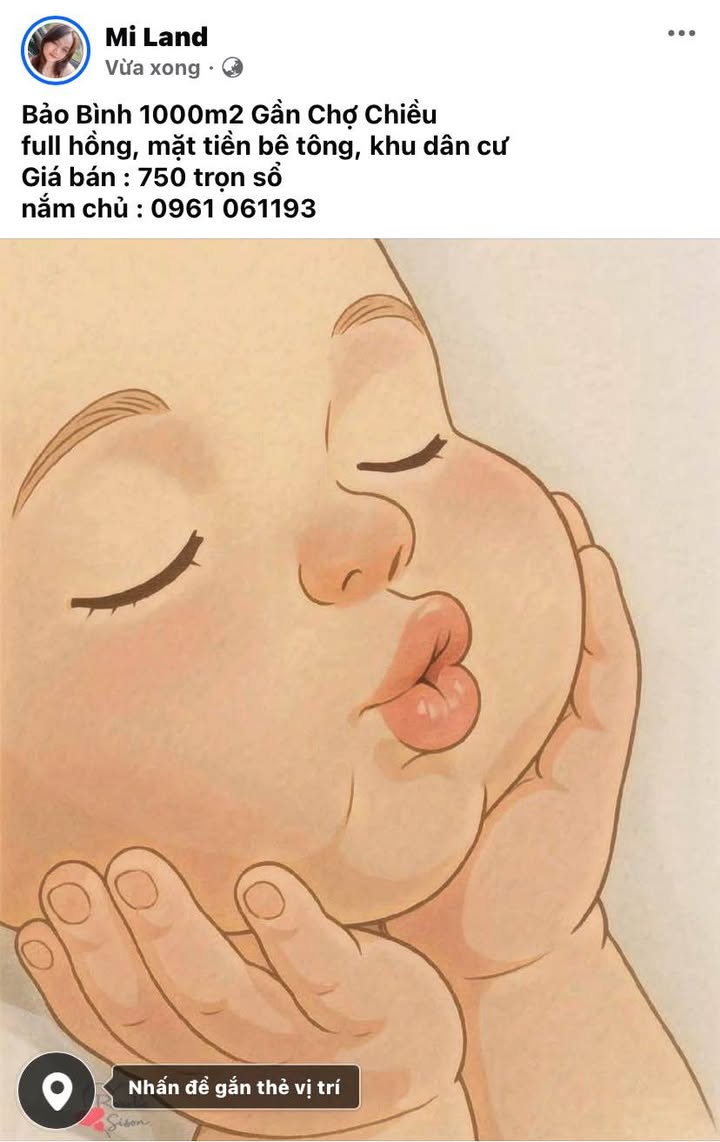 Đất Nền Bảo Bình Cẩm Mỹ 1000m² Sổ Hồng Riêng - Giá 750 Triệu