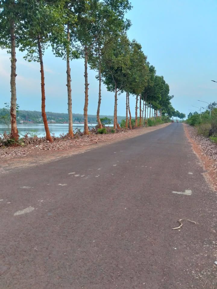 Đất nền Chơn Thành 120m² - Mặt tiền đường lớn, sổ đỏ sẵn sàng!